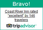 Tripadvisor Traveler Reviews